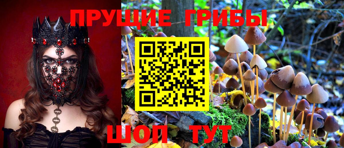 Галлюциногенные грибы прущие грибы  Вход с VPN  Хасавюрт 